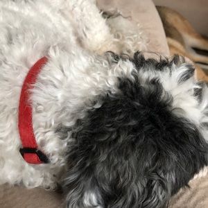 Meet your Posher, Marcy